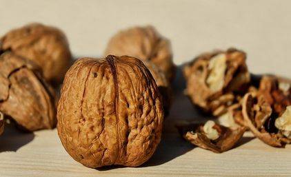 Health Benefits Of Walnuts In Hindi