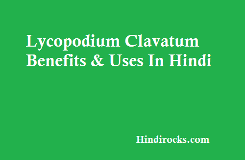 Lycopodium दवा के फायदे और Uses की पूरी जानकारी 